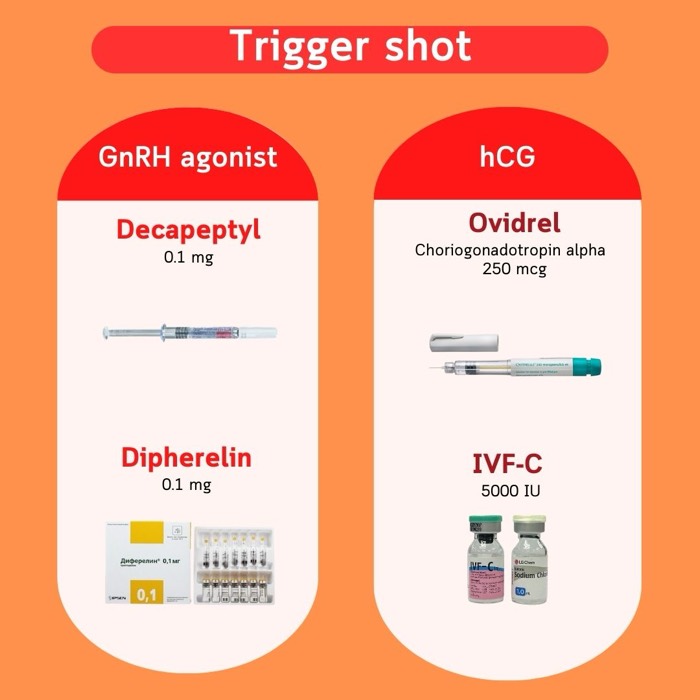 Inyecciones desencadenantes: agonistas de la GnRH (Decapeptyl, Diphereline) y hCG (Ovidrel, IVF-C)